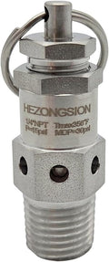 1/4" NPT Male Mini Adjustable Pressure Relief Safety Valve by HEZONGSION