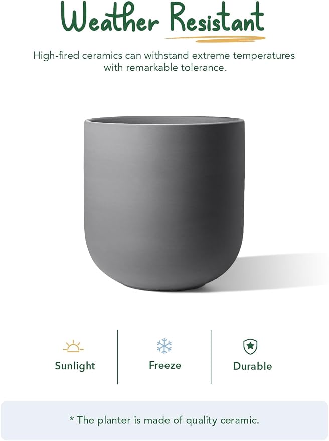 LE TAUCI 10 Inch Plant Pot, Ceramic Pots - Image 6