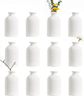 Modern White Small Ceramic Vase Set of 12 by LIZOFER