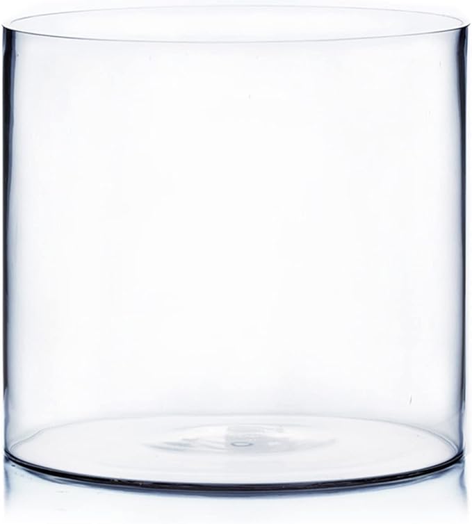 WGV Cylinder Vase, Width 10", Height 10", Floral Container, Planter Terrarium by WGVInternational-OpusGlassware