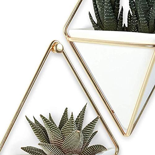 Umbra Trigg Hanging Planter for Small Plants - Image 14