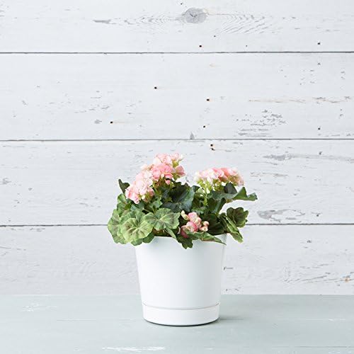 Novelty Majestic Full Depth Round Cylinder Pot, Glossy White - Image 5