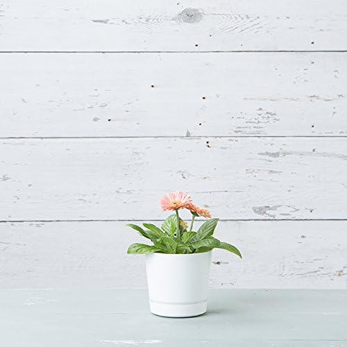 Novelty Majestic Full Depth Round Cylinder Pot, Glossy White - Image 4