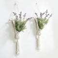 Macrame Wall Hanging Plant by UBOSU