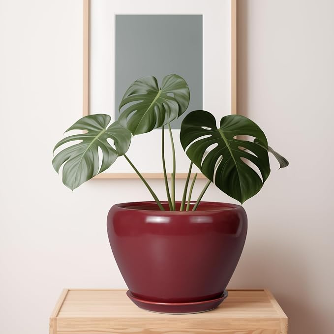 Ceramicfor 10 Inch Plant Pot, Ceramic Planter, Large Planter - Image 7
