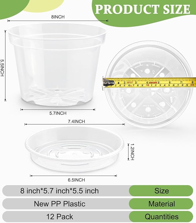 RooTrimmer 12 Pack 8 Inch Clear Plant Pots - Image 2