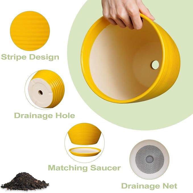 Ceramic Pots for Plants - Image 7