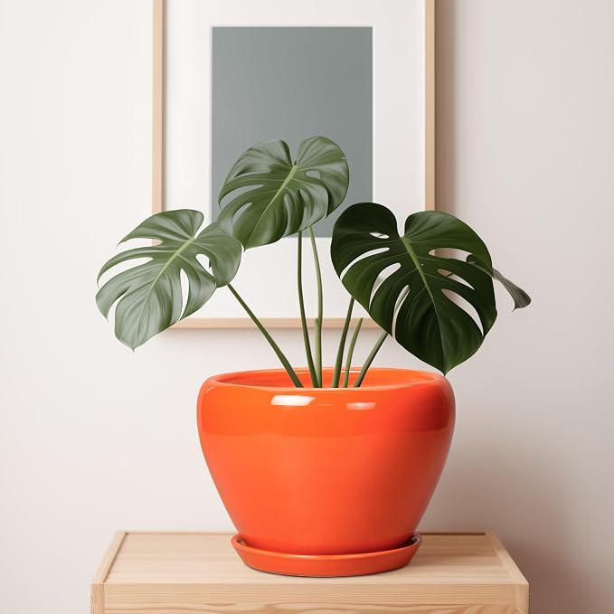 Ceramicfor Ceramic Pot for Plants - Image 7