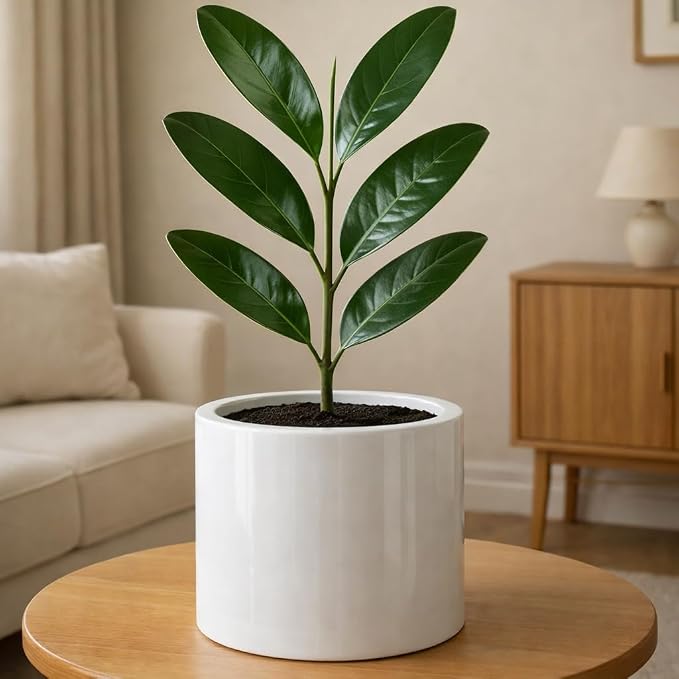 Fox & Fern Large Planter for Indoor or Outdoor, Glossy White, 8 Inch | UV & by FoxFern