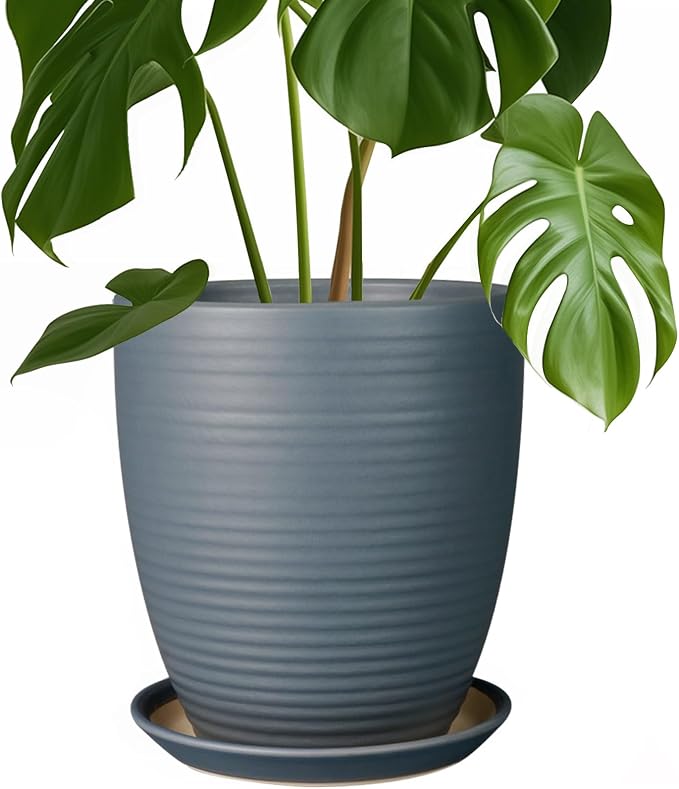 8 Inch Ceramic Plant Pot Large Planter Pot by EPFamily
