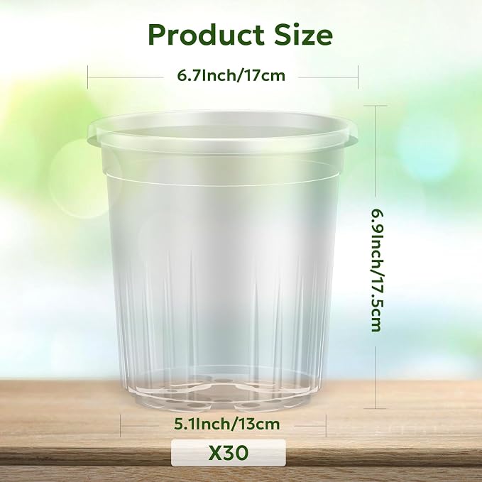 Bluepro Clear Nursery Pots - Image 2