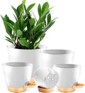 Self Watering Planter Pots for Plants, Drainage holes and saucers, by Unknown