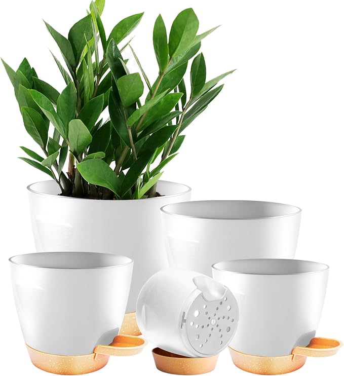 Self Watering Planter Pots for Plants, Drainage holes and saucers, by Unknown