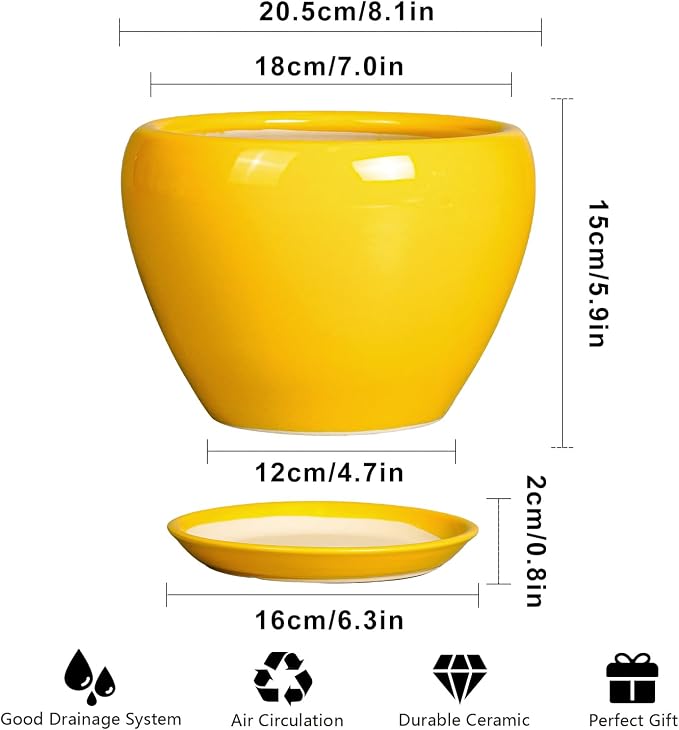 Ceramicfor 8 Inch Plant Pot - Image 3