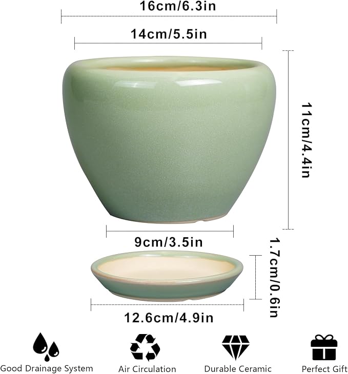 Ceramicfor 6 Inch Plant Pot - Image 3