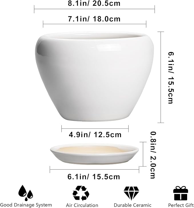 Ceramicfor Ceramic Pot for Plants, 8 Inch Planter, Glossy White | Plant Pot - Image 3