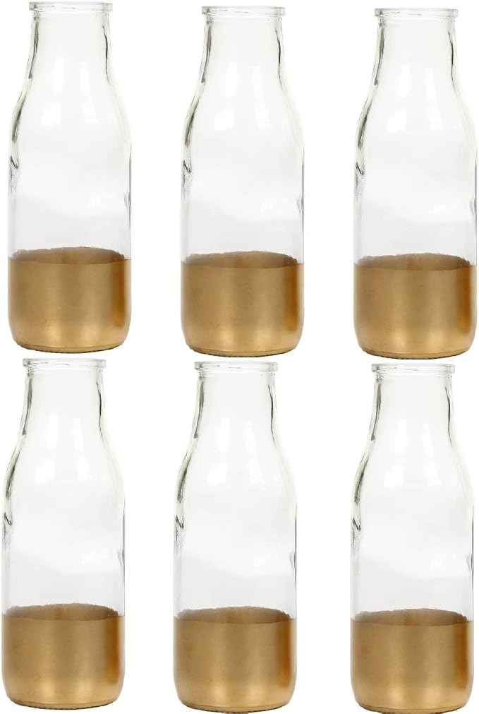 Hosley Set of 6 Pcs, Large Glass Vase by HOSLEY