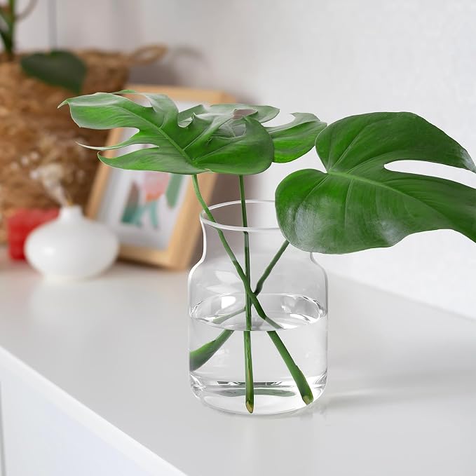 Clear Glass Vase, Large Flower Vase, 8-inch Glass Flower Vase - Image 7
