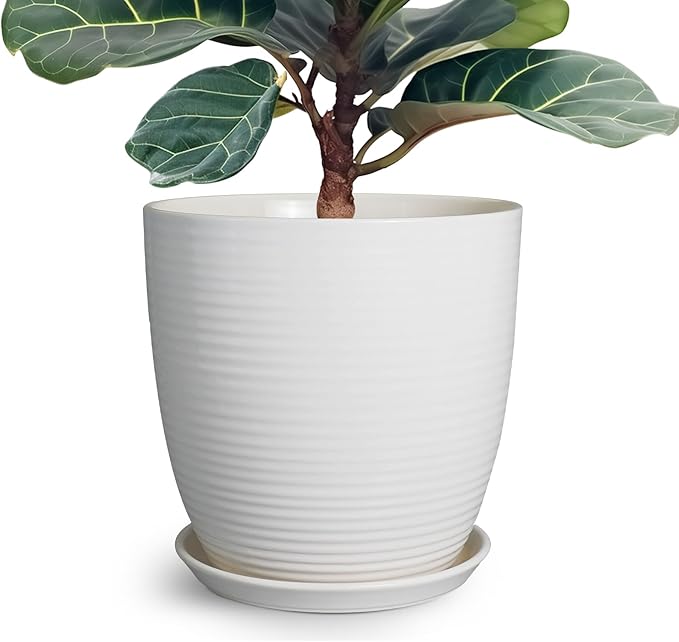 12 Inch Ceramic Planter Pot, Large Planter by EPFamily
