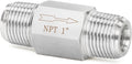 ChillWaves 304 Stainless Steel In-Line Siamese Check Valve 1" NPT Male Thread by VisittheCHILLWAVES