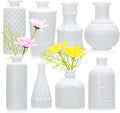 White Flower Vase Set, Glass Bud Vase in Bulk Set of 8 | Artistic and Cultural by Brajttt