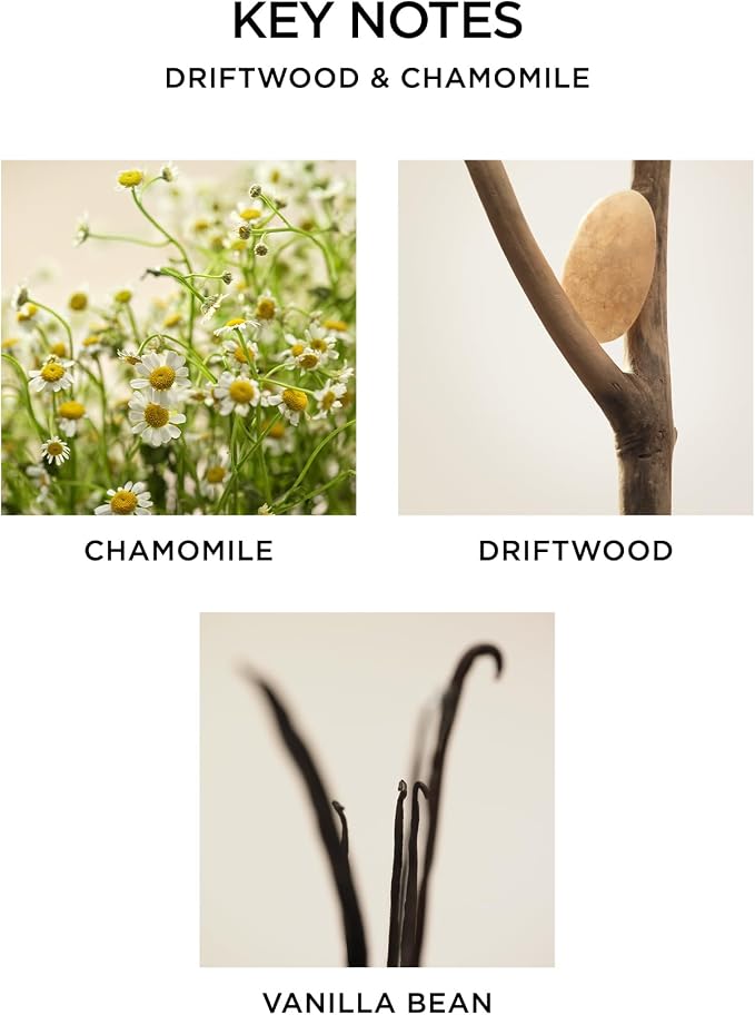 NEST New York Scented Classic Candle, Driftwood & Chamomile - Image 4