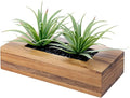 MyGift 10 Inch Artificial Grass Plant in Acacia Wood Planter, Faux Greenery | by MyGiftHome