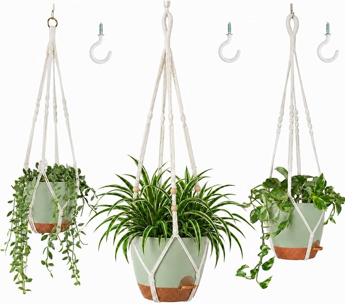 Bouqlife Large Hanging Planters by Bouqlife