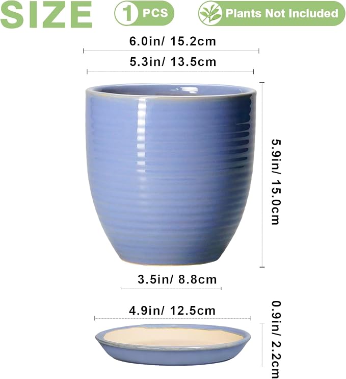 6 Inch Ceramic Pots for Plants - Image 2