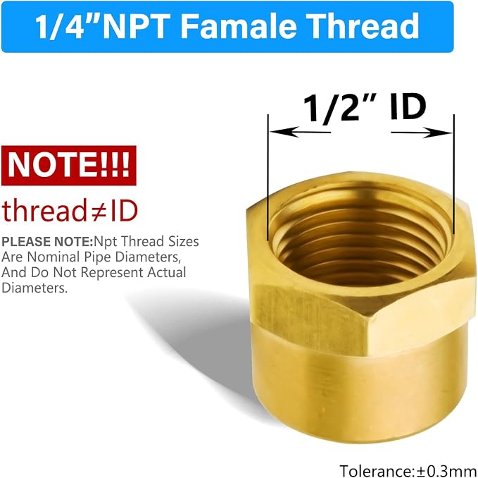 Vis Brass Pipe Fitting, Hex Head Cap, 1/4" NPT Female - Image 2