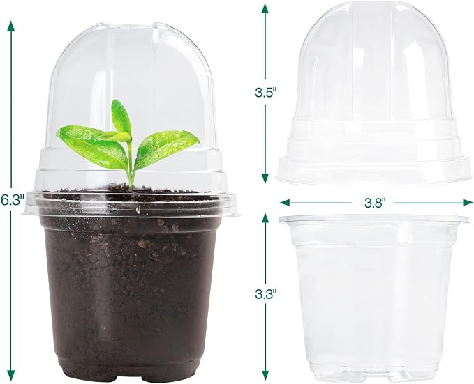 Bluepro Clear Nursery Pots - Image 4
