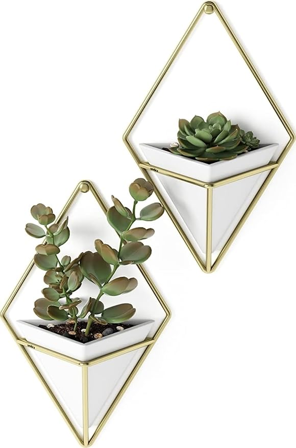 Umbra Trigg Hanging Planter for Small Plants by Umbra