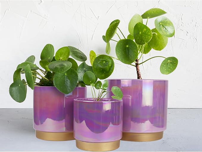 Gepege Ceramic Plant Pots for Indoor Plants, Planters - Image 4