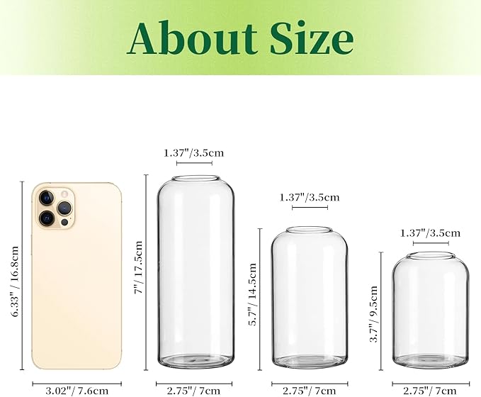 Hewory Modern Glass Bud Vase for Flower: 3PCS Blown Clear Small Vase Bulk | - Image 5