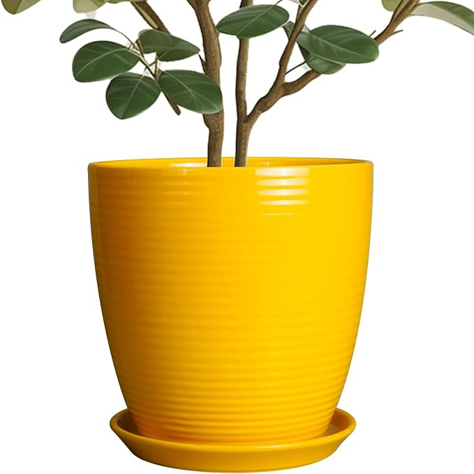 10 Inch Plant Pot by EPFamily