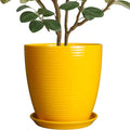 10 Inch Plant Pot by EPFamily