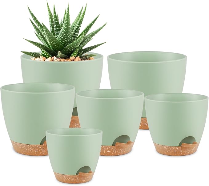 QRRICA Plant Pots 8/7/6.5/6/5.5/5 Inch Self Watering Pots, Plastic Flower Pots by QRRICA