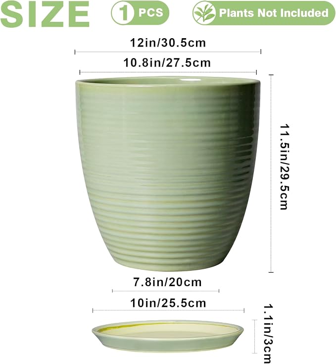 12 Inch Pots for Plants - Image 3