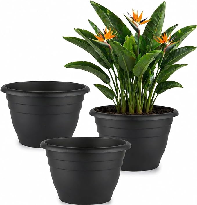 RooTrimmer 3 Pack 11 Inch Plant Pots by RooTrimmer