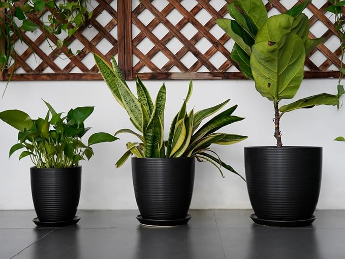 12 Inch Pots for Plants - Image 7