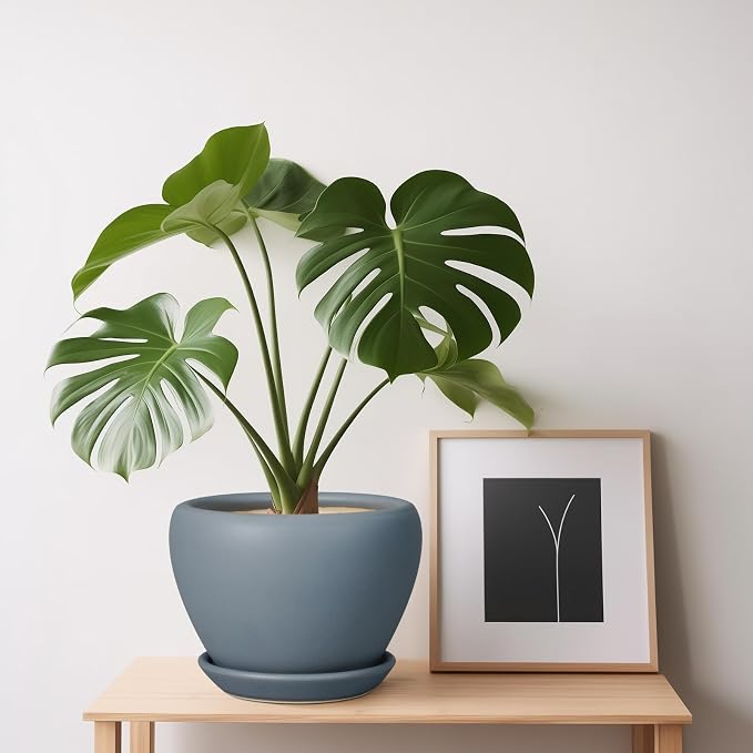 Ceramicfor Ceramic Pot for Plants - Image 8