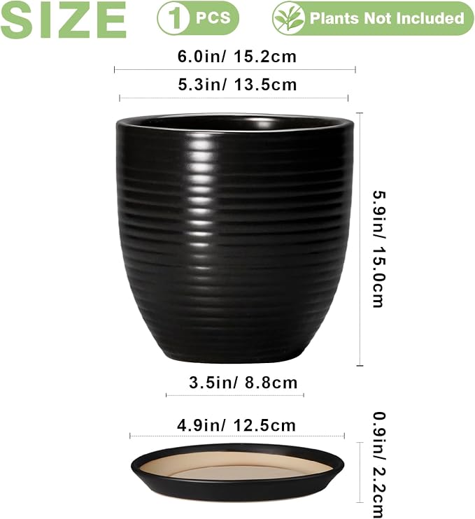 6 Inch Plant Pot - Image 2