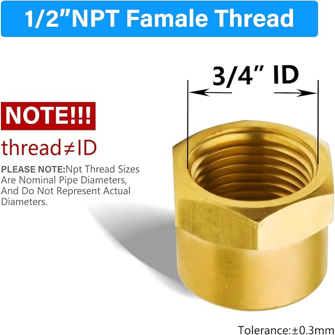 Vis Brass Pipe Fitting, Hex Head Cap, 1/2" NPT Female - Image 2