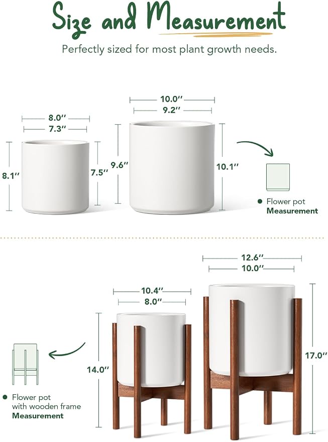 LE TAUCI Indoor Planter with Stand, 10 + 8 Inch, Ceramic Pot - Image 5