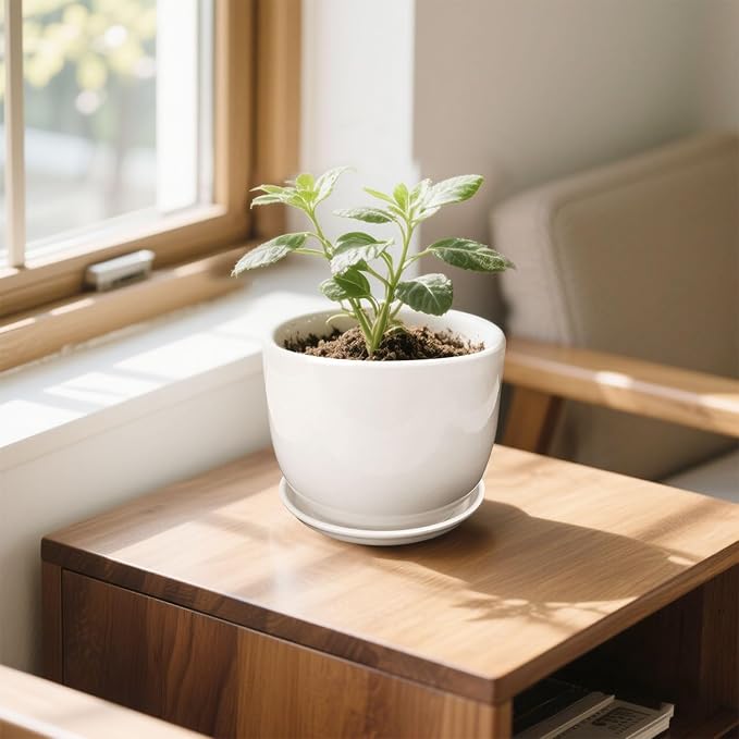 6.7 + 5.5 Inch Plant Pot, Ceramic Planter - Image 4