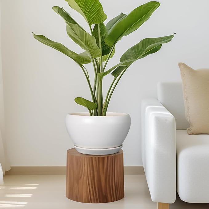 Ceramicfor Ceramic Planter for Indoor Plants - Image 7
