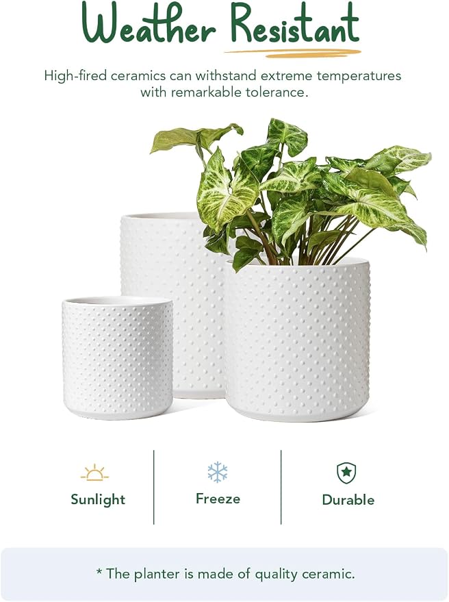 LE TAUCI 10+8+6 Inch Ceramic Pots - Image 8
