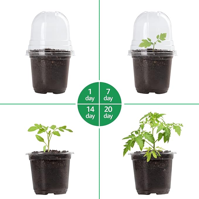 Bluepro Clear Nursery Pots - Image 7