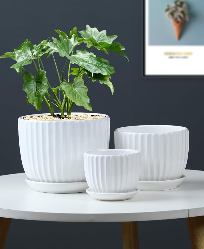 White Plant Pots, Ceramic Flower Pot Set of 3 - Image 5