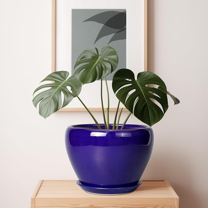 Ceramicfor Ceramic Planter 10 Inch, Indoor Plant Pot - Image 7